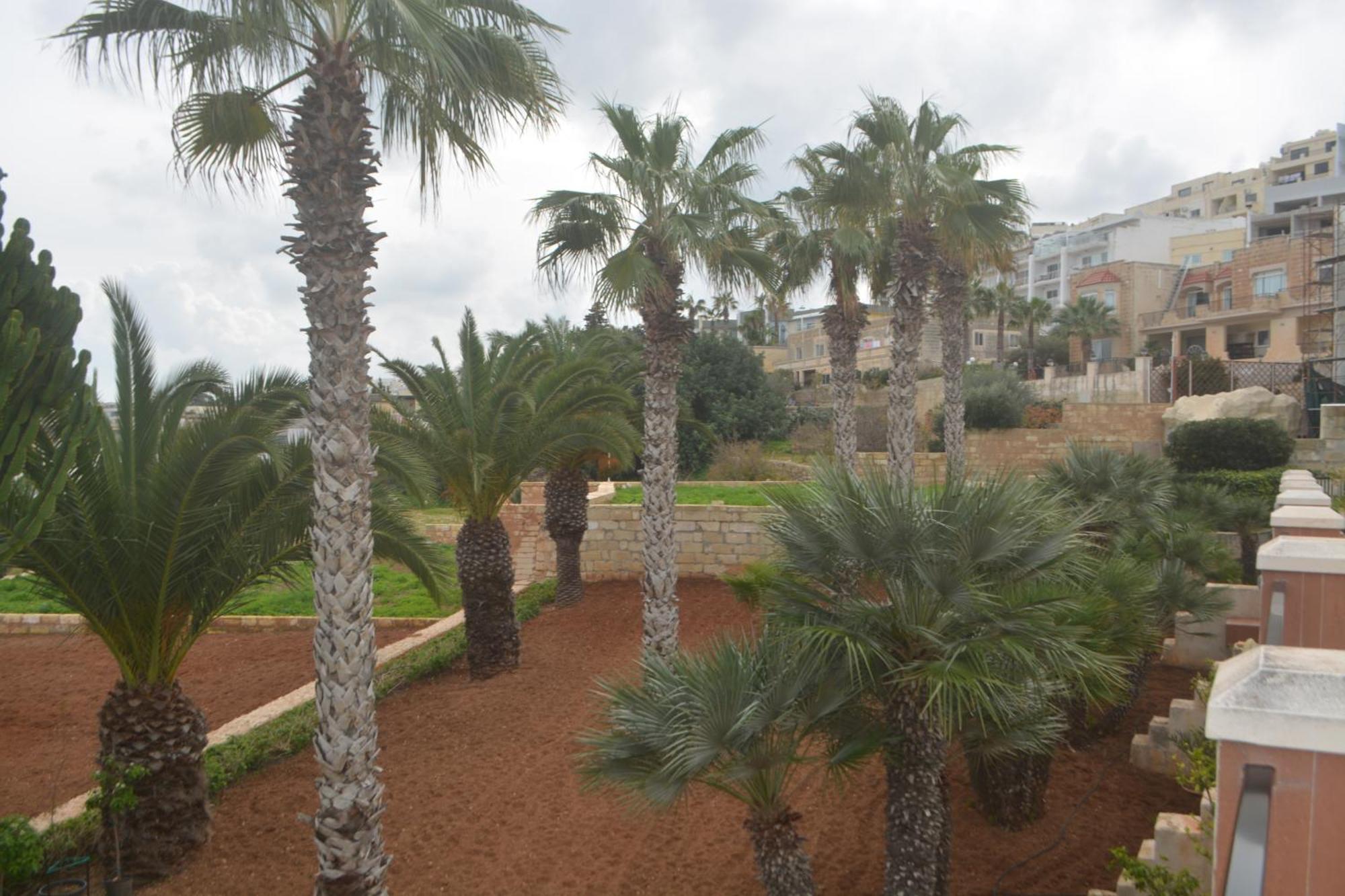 Lyss 2 * Mellieħa